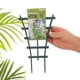 thumbnail image 5 of Soporte de marco para plantas de jardín Macarena Plantación de marco de vid 2pcs, 5 of 8