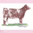 thumbnail image 2 of CafePress - Shorthorn Heifer Infant Bodysuit - Baby Light Bodysuit, Size Newborn - 24 Months, 2 of 4