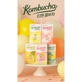 thumbnail image 5 of TEAZEN Kombucha Variety Pack, 80 Sticks (10 Sticks x 8 Boxes), Flavored Kombucha Powder Drink Mix, 5 of 5