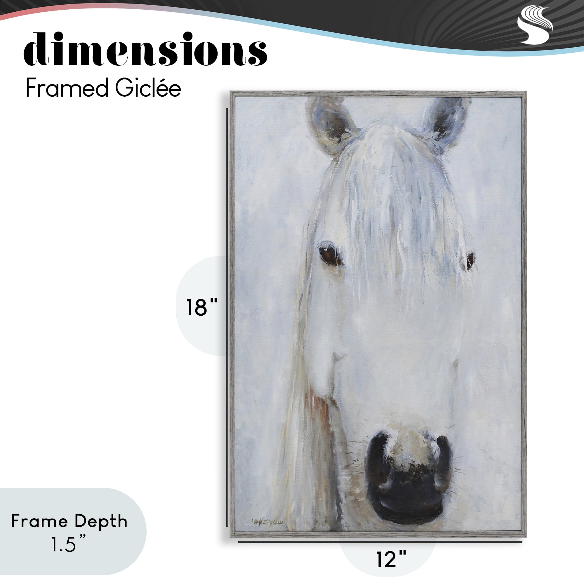 Stupell Industries Pure White Horse Portrait Gray Framed Giclee Art, design by Jadei Graphics