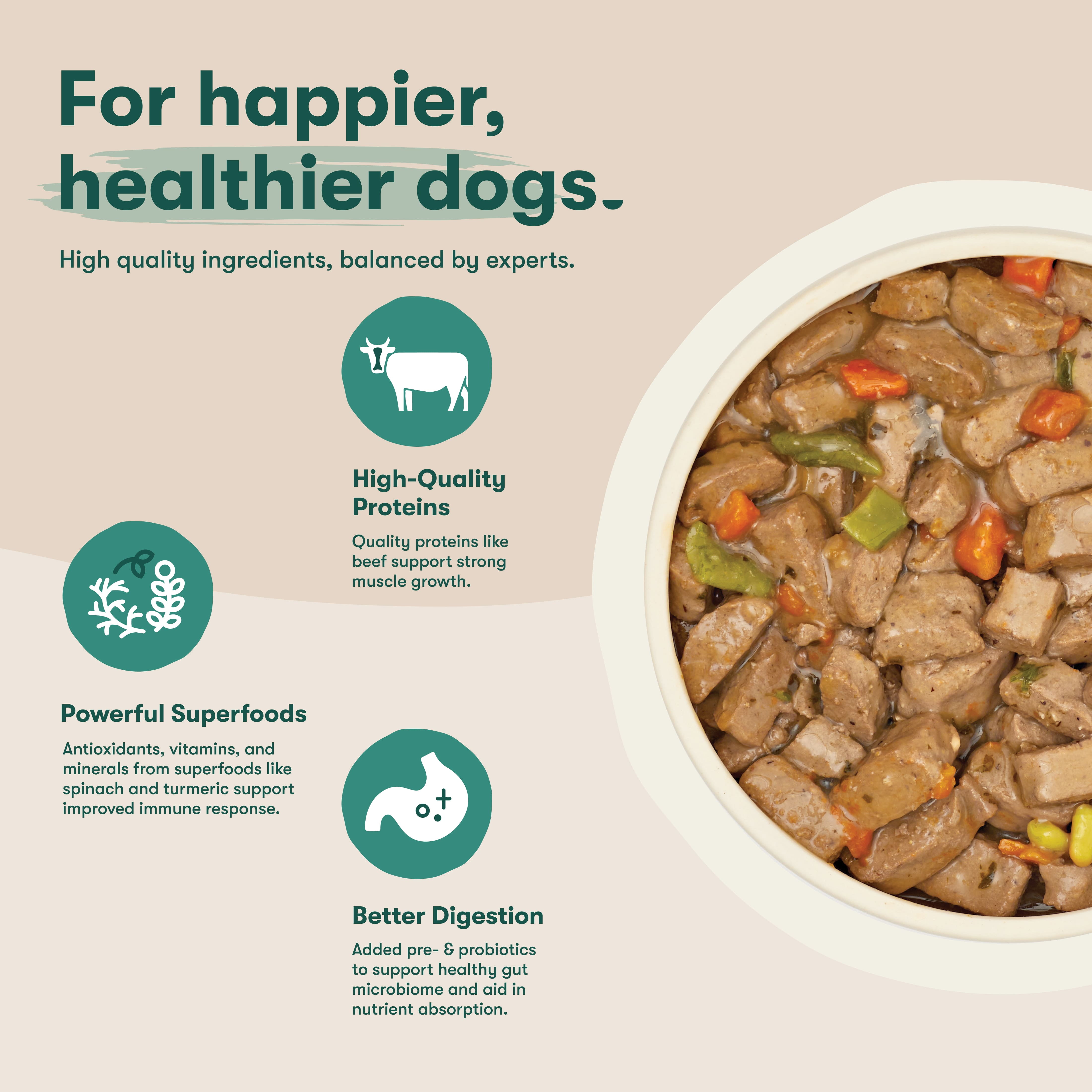 (12 pack) Jinx Bone Broth Stew Grain-Free Beef & Vegetables Wet Dog Food, 13 oz Can