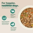 thumbnail image 3 of Jinx Bone Broth Stew Grain-Free Beef & Vegetables Wet Dog Food, 13 oz Can, 3 of 9