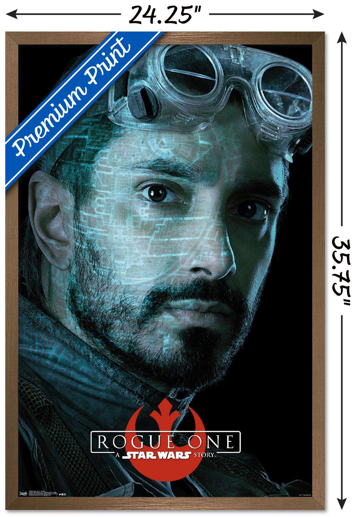 Star Wars: Rogue One - Bodhi Wall Poster, 22.375" x 34", Framed
