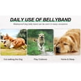 thumbnail image 6 of HQREA Cute Dog Belly Cover Waterproof Dogs BellyBand Comfy Pet Diaper Wrap for Outdoor, 6 of 6