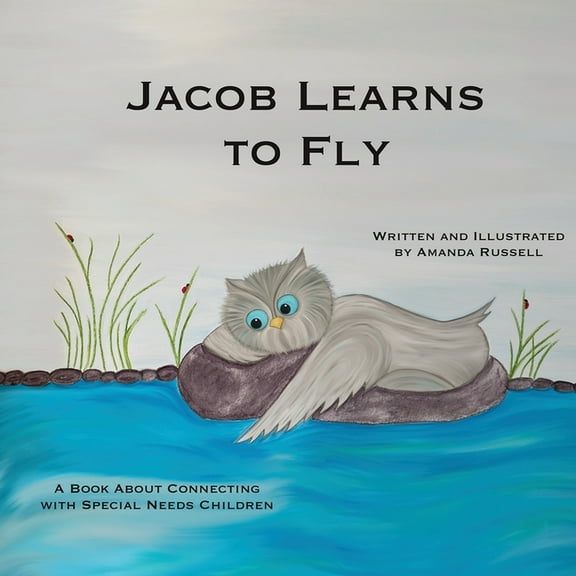 Jacob Learns To Fly, (Paperback)