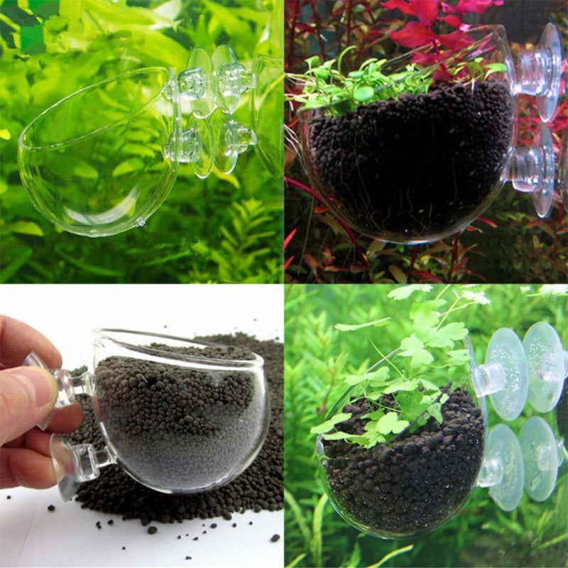 Hamkaw Crystal Glass Aquatic Plant Cup Pot For Fish Tank Aquarium Aquascape Decor