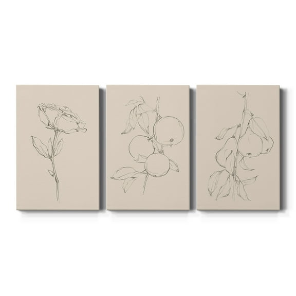 Floral Contour Study IV Premium Gallery Wrapped Canvas - Ready to Hang - 12 x 18 Each