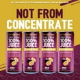 thumbnail image 6 of The True 100% Juice Sparkling Passion Fruit, 4pack, No Added Sugar, 8.45 fl oz can, 6 of 7