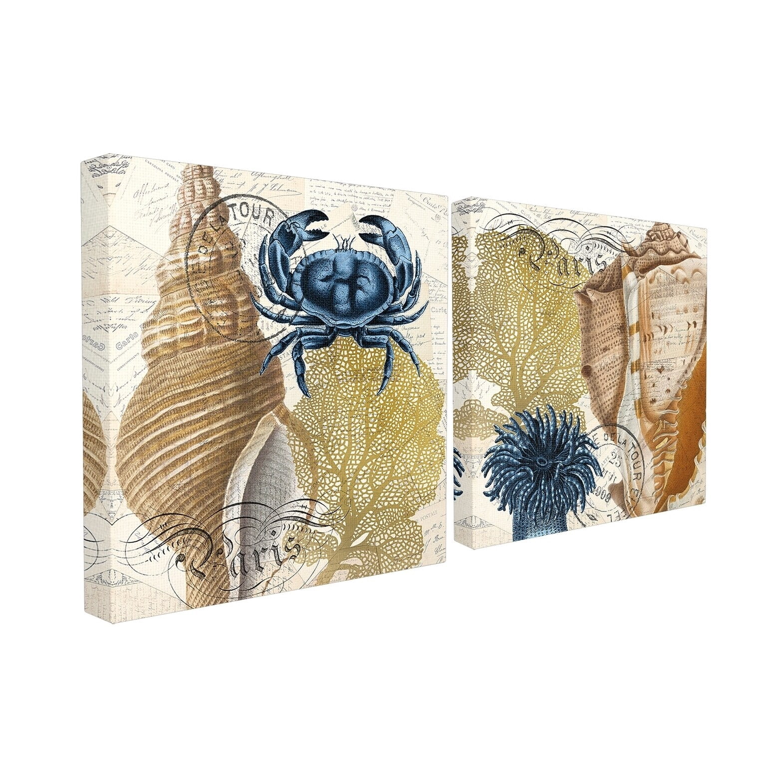 The Stupell Home Decor Navy and Gold Nautical Crab Anemone and Shell Set of Two Canvas Wall Art, 2pc, each 17 x 17