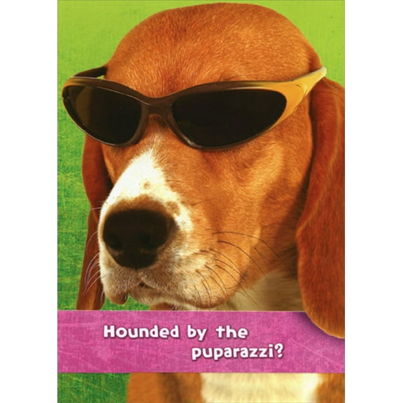 Designer Greetings Hounded By The Puparazzi Funny : Humorous Dog Birthday Card