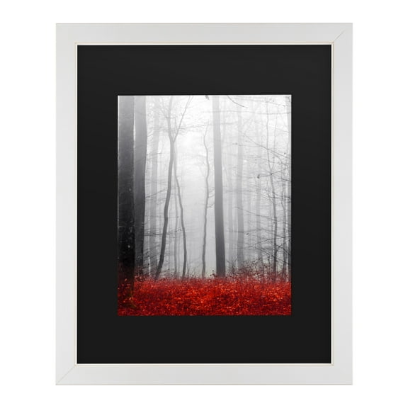 Trademark Fine Art 'Little Red Carpet' Canvas Art by Philippe Sainte-Laudy