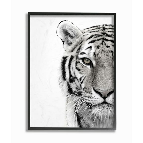 The Stupell Home Decor Collection White Tiger Close Up Black and White Photography Framed Giclee Texturized Art