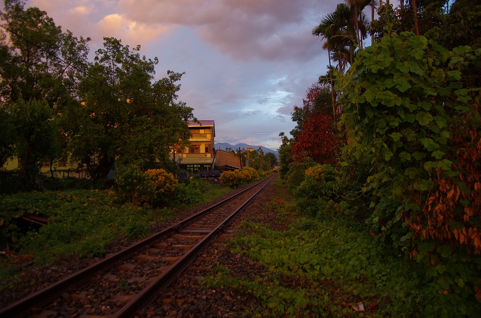 Country Rural Landscape Train Railway Taiwan-20 Inch By 30 ...