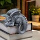 thumbnail image 4 of Adorno de Resina para Escritorio, Estantería o Jardín/Terraza: Figura Decorativa Original y Encantadora para El Hogar, No Requiere Montaje., 4 of 6