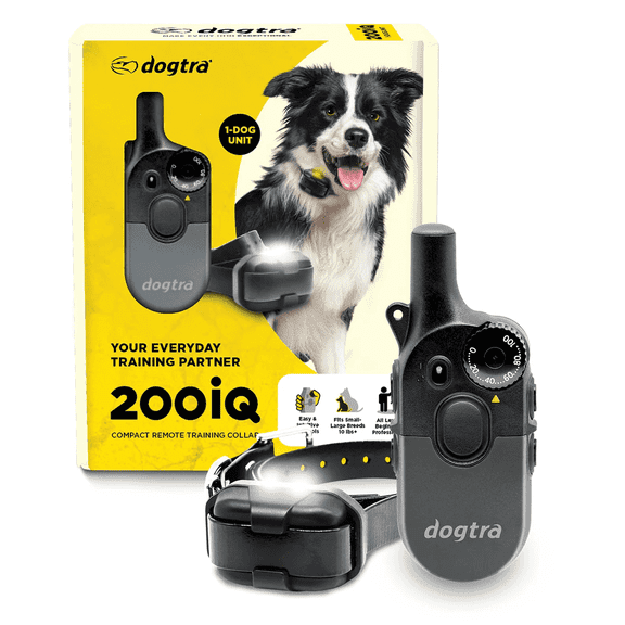 Dogtra 200IQ 1-Dog Training Collar System