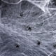 thumbnail image 4 of XWSHYW Decoraciones para El Hogar Decorativo Halloween con Araña Interiores y Exteriores 30 Arañas, 4 of 6