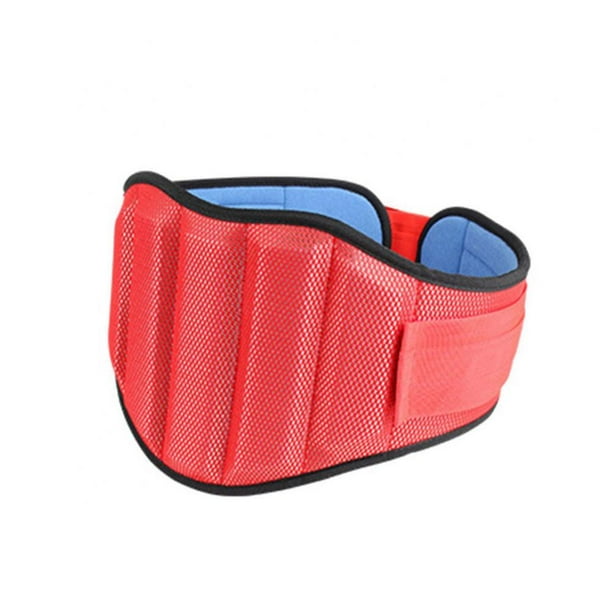 Iron Body Team Weight Lifting Belts for Men and Women Core & Lower Back Support Workout Waist