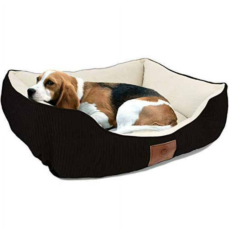 American kennel club orthopedic dog clearance beds