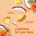thumbnail image 4 of Air Mist Odor-Fighting Air Freshener - Hawaiian Aloha - 8.1oz: Disposable, Dye-Free, Phthalate-Free, 4 of 5