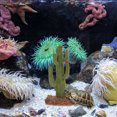 thumbnail image 4 of unbranded De Terrario Con Cactus Artificial Para Hábitat De Reptiles, 4 of 6