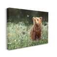 thumbnail image 3 of Stupell Industries Bear & Butterfly in Meadow Animals & Insects Photography Gallery Wrapped Canvas Print Wall Art, 30 x 24, 3 of 7