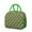 Colorful Checkered Dinosaurs, variant on Womens Colorful Dinosaur and Floral Pattern Lunch Box for Work,Insulated Lunch Bag for Women,Loncheras Para Mujer,Leakproof Adult Lunch Bag for Work,Beach,Travel,Picnic,Camping