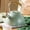 Light Green, variant on LOVIVER Tea Kettle with Handle, 3.2 Quart Stainless Steel Whistling Teapot Tea Kettle for Heating Water, Fast Boiling Water Teakettle, Green