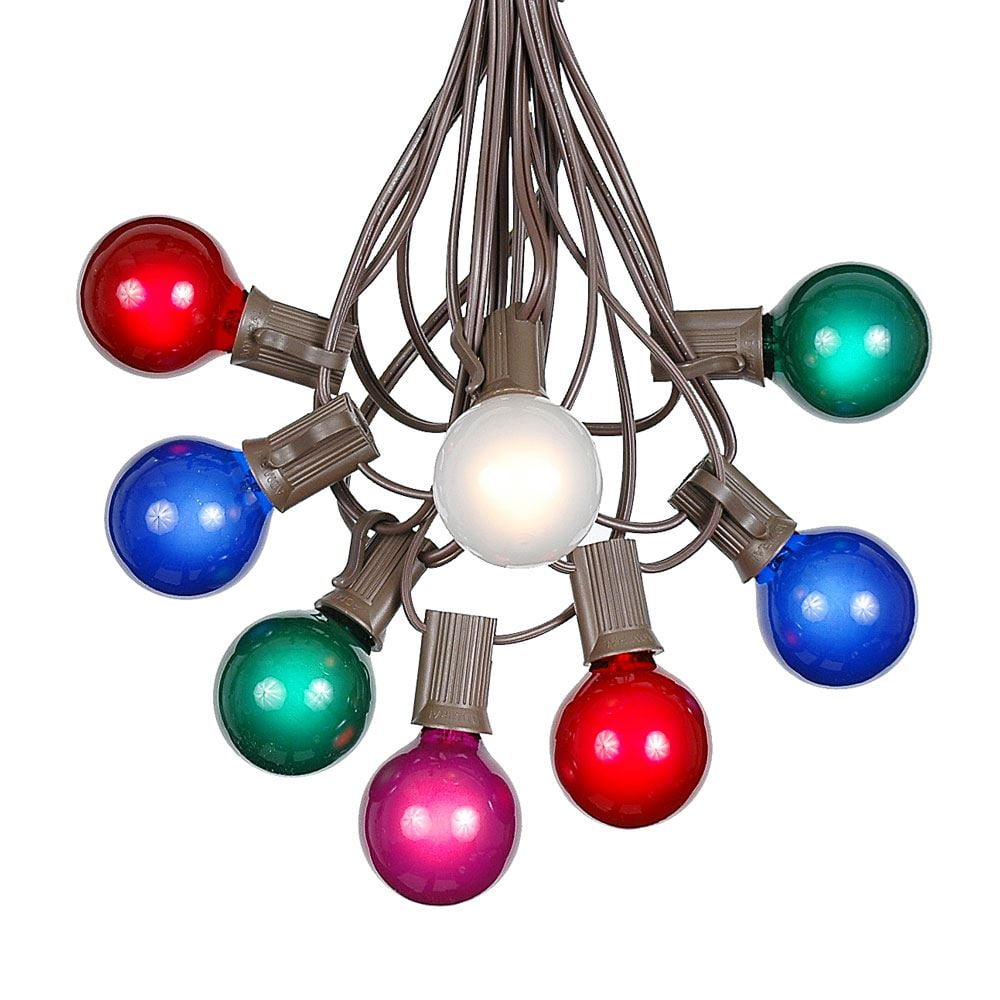 25 Foot G40 Outdoor Patio String Lights with 25 Multi Globe Bulbs