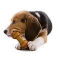 thumbnail image 4 of Nylabone Rawhide Alternative Peanut Butter Knot Bone Dog Chew Toy, Medium, 4 of 9