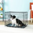 Paws & Pals Dog Crate with Tray and Double Door (30inch) (Medium)