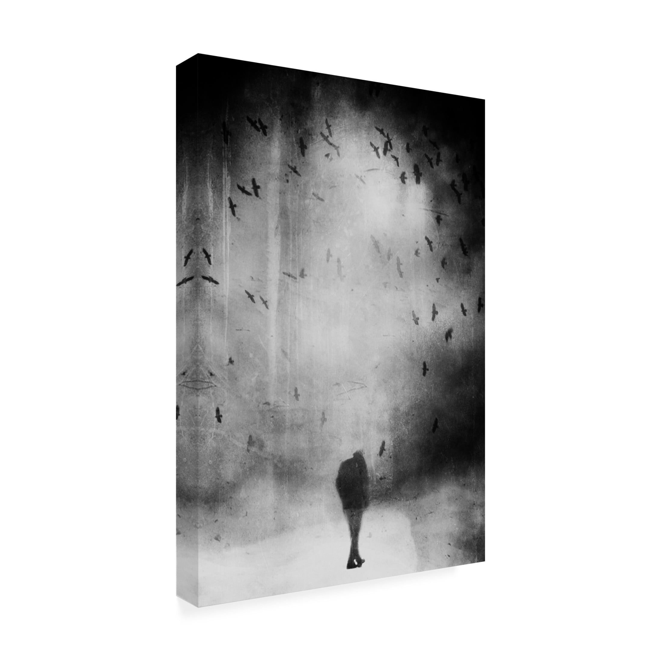 Canvas Wall Art - Daniela Riegler 'Photo Grain' Wall Art for Living Room, Bedroom, or Office D?cor by Trademark Fine Art - 12 x 19 Inches