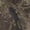 Tree Camo, variant on Boys Full Zip Hoodie, Sizes 4-18