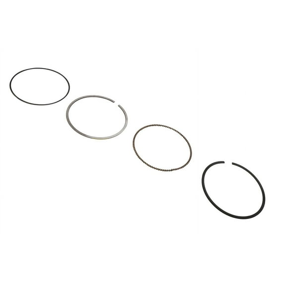 GM Genuine Parts 12685186 Piston Ring Kit with Compression Rings Oil Ring Rail Spacer and Oil Ring Rails