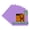 Pansy Purple, variant on Pansy Purple Picture Frame Mat for 5x5 Inch Frames - Fits 3x3 Photos - 1 Mat