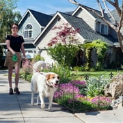Decorative Garden Fence 10 Pack, 24in H x 12.5in L Arched No Dig Metal Fence Panels, Rustproof Outdoor Animal Barrier for Dogs, Rabbits, Flower Beds, Yard, Patio Decor & Lawn Border Protection