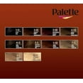 thumbnail image 2 of Palette Intensive Oil Care Color 5-68 Golden Chestnut, 2 of 5