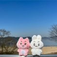 thumbnail image 4 of TXT Doll Member Llaveros SOOBIN YEONJUN BEOMGYU TAEHYUN Felpa Llavero Bolsa Colgante, 4 of 4