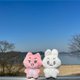 thumbnail image 4 of TXT Doll Member Llaveros SOOBIN YEONJUN BEOMGYU TAEHYUN Felpa Llavero Bolsa Colgante, 4 of 4