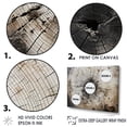 thumbnail image 3 of Designart "Stump'S Natural Aesthetic" Tree Redwood Canvas Prints, 3 of 7