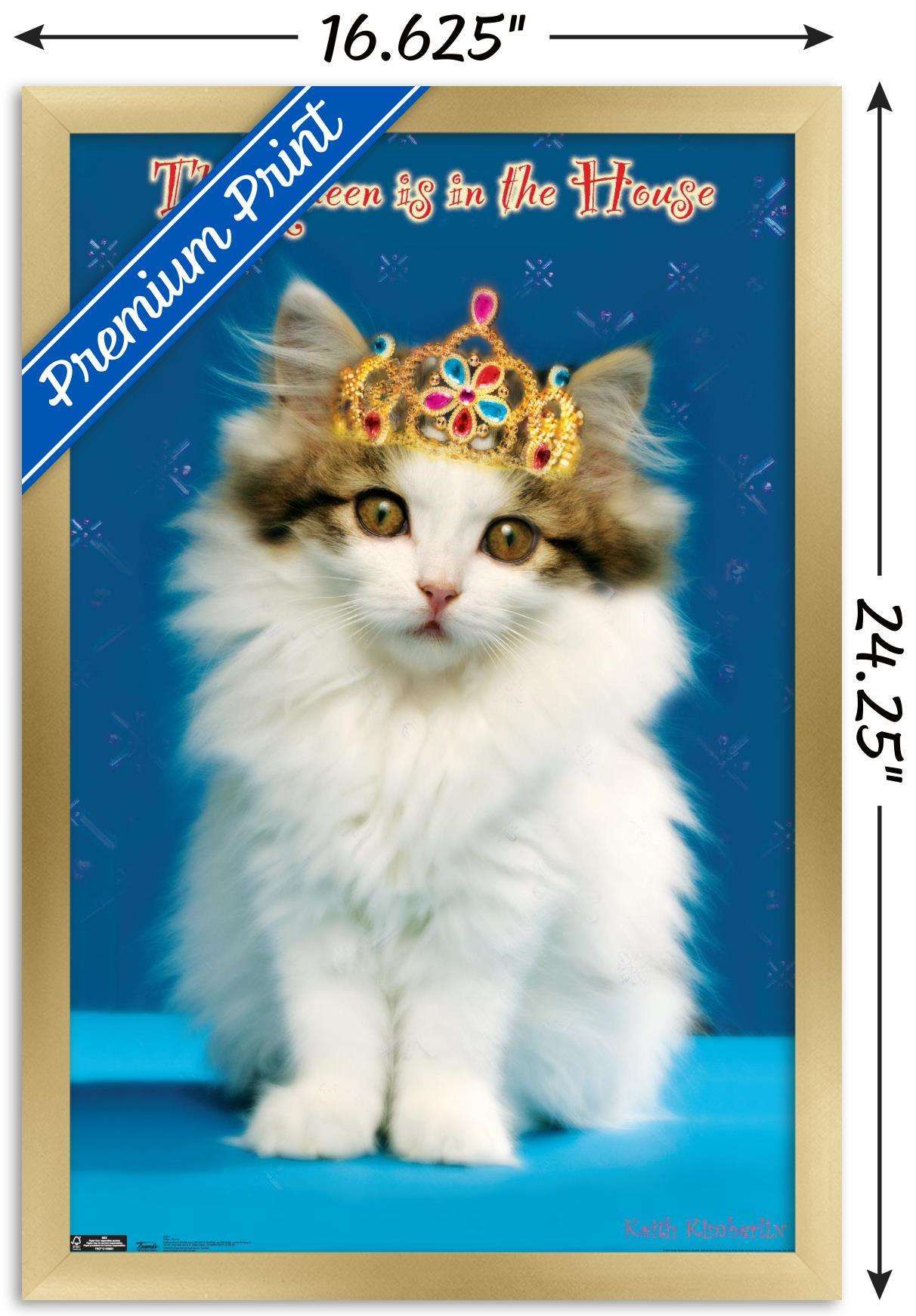 Keith Kimberlin - Kitten - Queen Wall Poster, 14.725" x 22.375", Framed