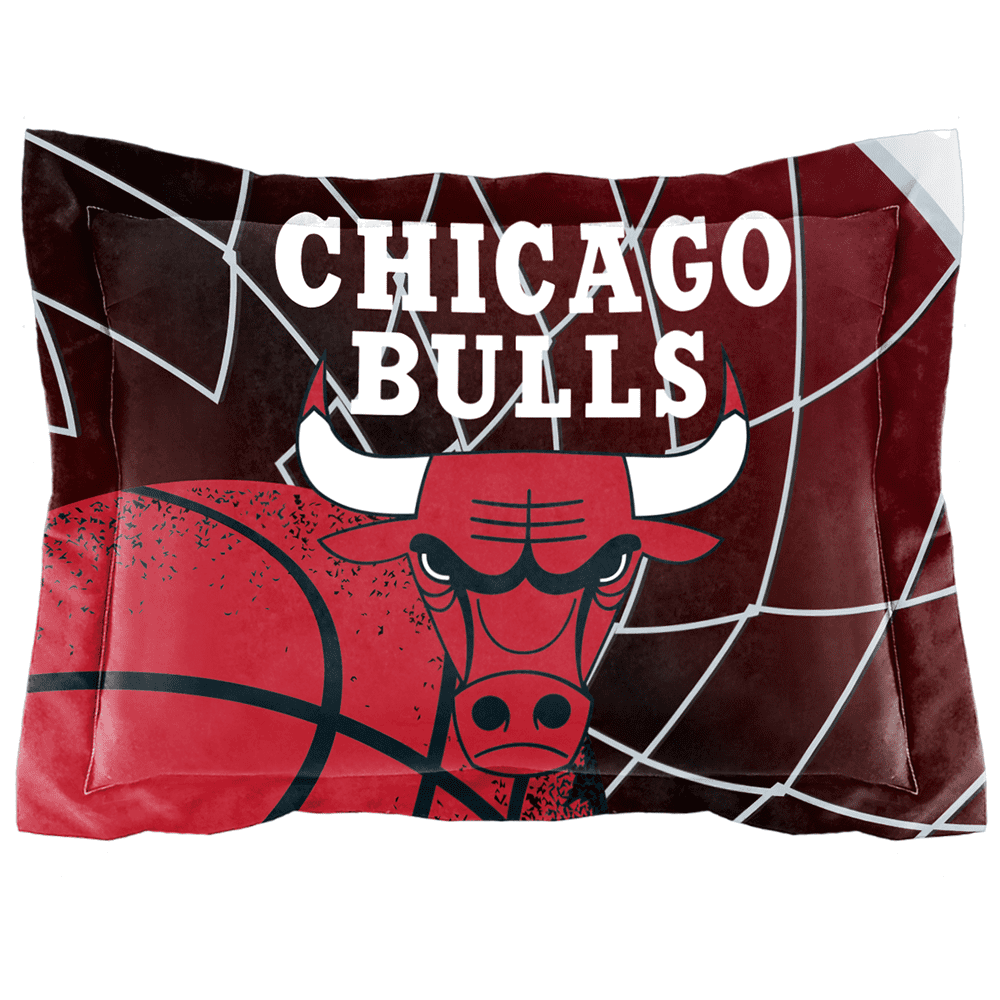NBA Chicago Bulls Officially Licensed Comforter & Sham set Full/Queen