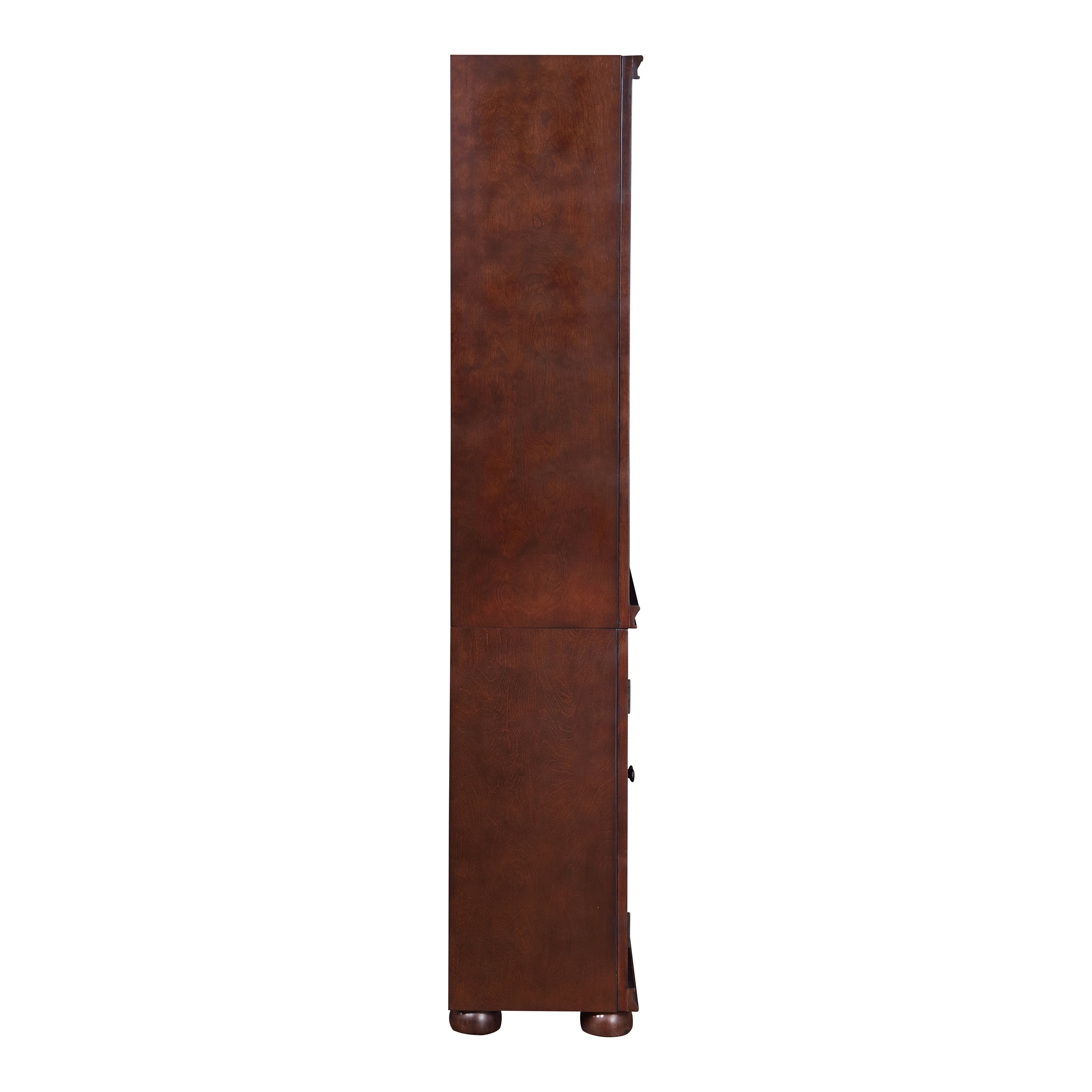 Furniture of America Lieux 3-Shelf Wood Adult Bookcase with 2-Door, Espresso