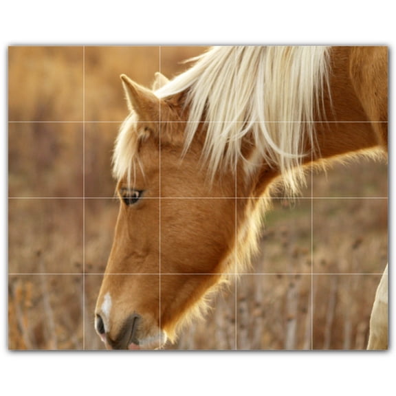 Picture-Tiles.com: Horse Ceramic Tile Wall Mural WAL500757-54M. 30"W x 24"H using (20) 6" x 6" Ceramic Tiles-Satin Finish