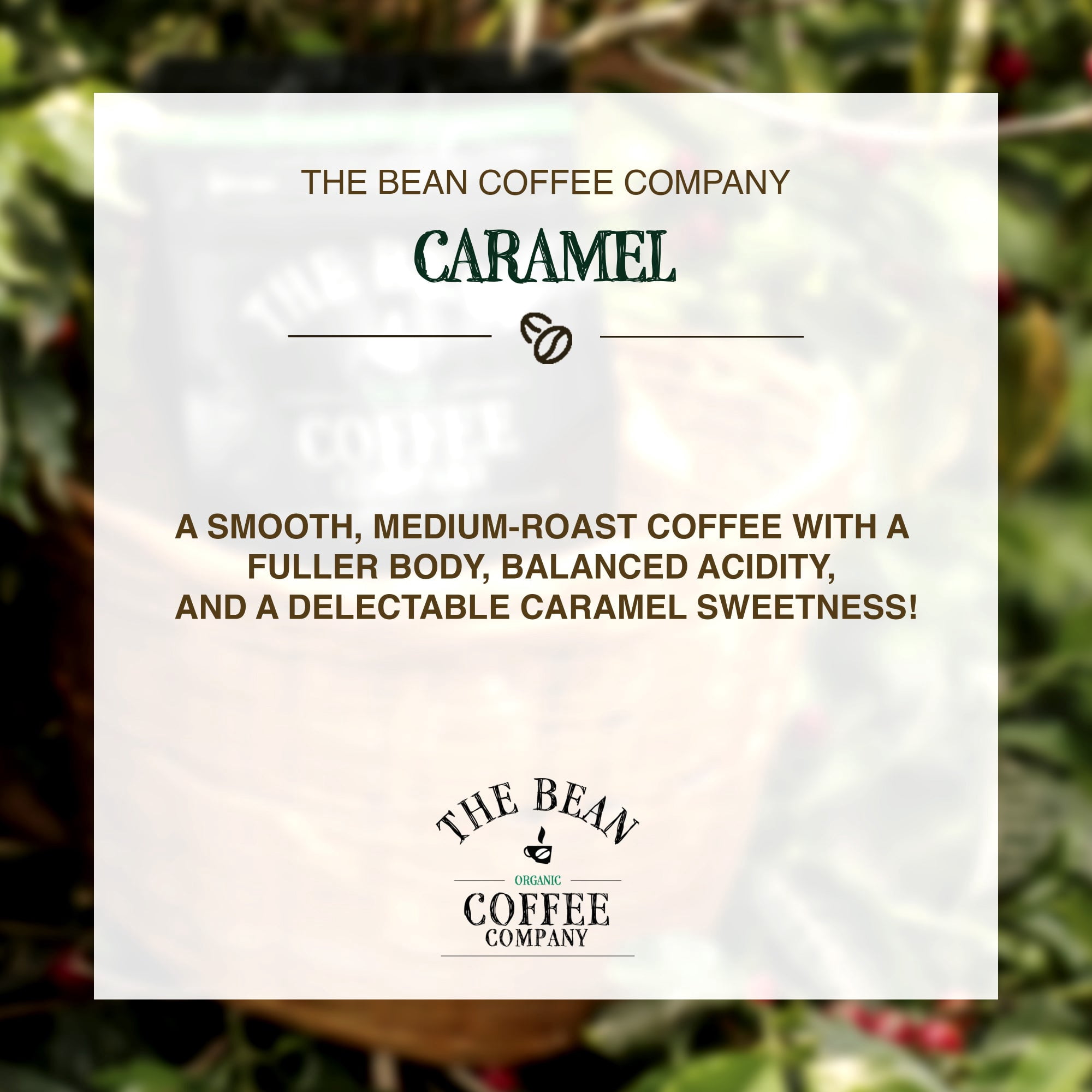 The Bean Organic Coffee Company Caramel, Medium Roast, Ground Coffee, 16-Ounce Bag