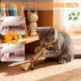 thumbnail image 2 of Natural Silvervine Dental Sticks, Silver Vine Dental Sticks for Cats, Kitten Teething Toys, for Teeth Cleaning & Calm Stress, for Indoor Kitty Interactive Kitten Chew Playthings, 2 of 8