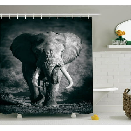 Elephants Decor Shower Curtain Set Majestic Elephant Bull Elephants Decor Shower Curtain Set Majestic Elephant Bull Roaching Photo Exotic Wild Habitat Mammal Art