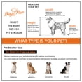 thumbnail image 4 of BingoPaw Heavy Duty Dog Travel Stroller Pet Foldable Jogger Wagon with Back Front Door for Small Medium Large Dog, 4 of 11