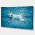 thumbnail image 2 of Polar Bear Swimming under Water - Large Animal Canvas Artwork, 2 of 4