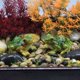 thumbnail image 3 of Micro paisaje artesanía rana estatua jardín coche decoración flor carnosa ornamento Tmvgtek Oficina Multiescena Multifunción, 3 of 9