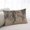 Light Brown, variant on Green Black Branches Throw Pillow Covers, Botanical Dead Tree Birds Soft Breathable Pillow Cases with Invisible Zipper for Sleeping, Long Body Pillowcases for Couch Bed Sofa Chair 20x54 Inches